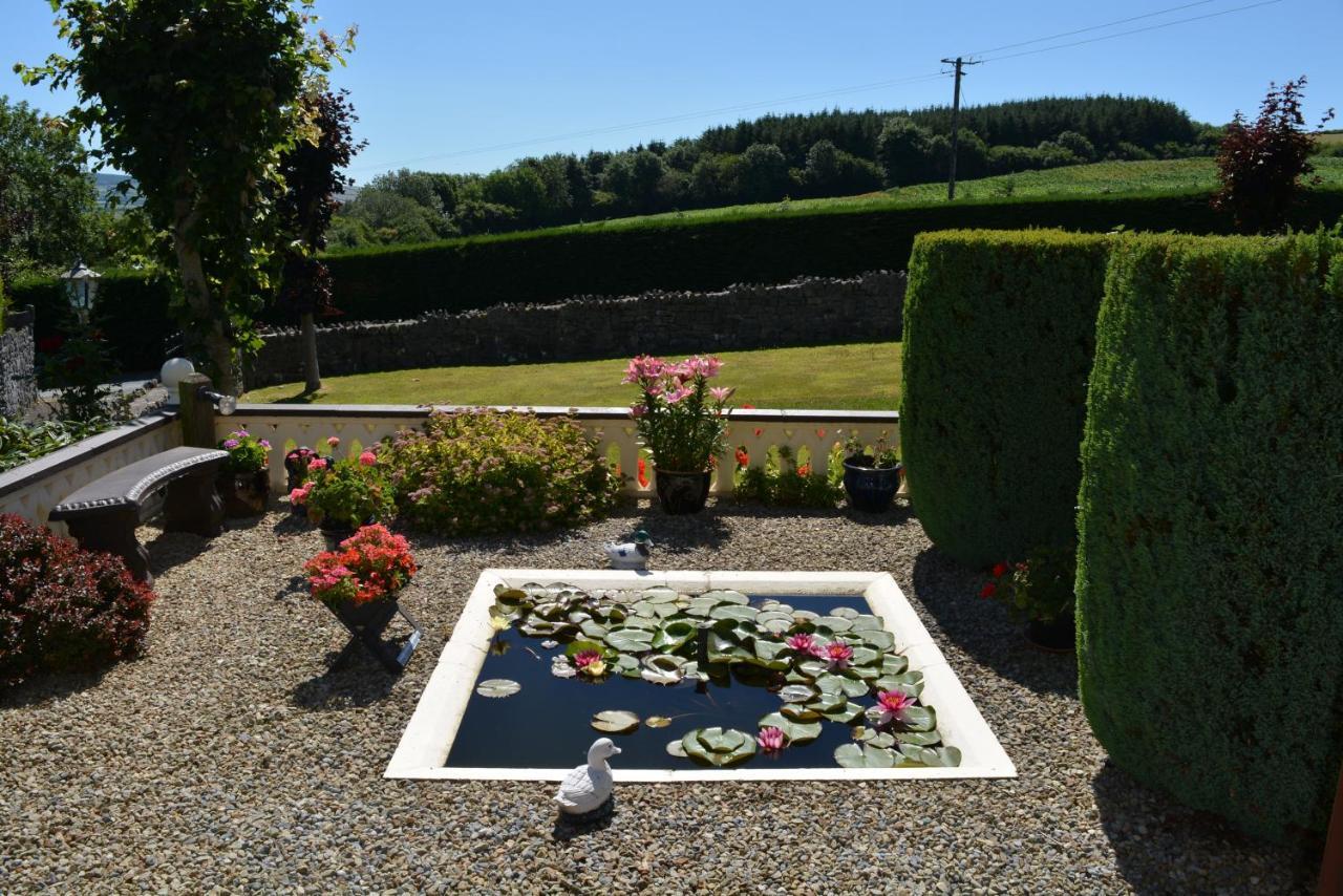 Weir View Bed And Breakfast Durrow Exterior photo